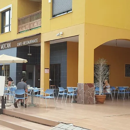 Palm-mar 2 Lovely!!!